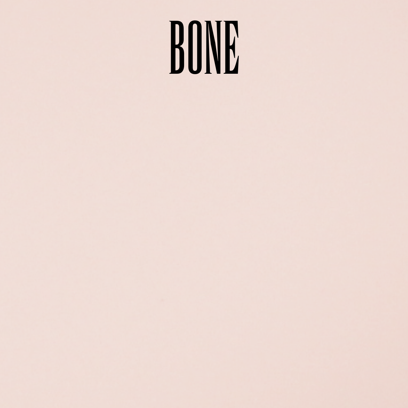 Waterproof Organic Camouflage Finish Foundation (Powder-Cream) with Elastin - Image 3