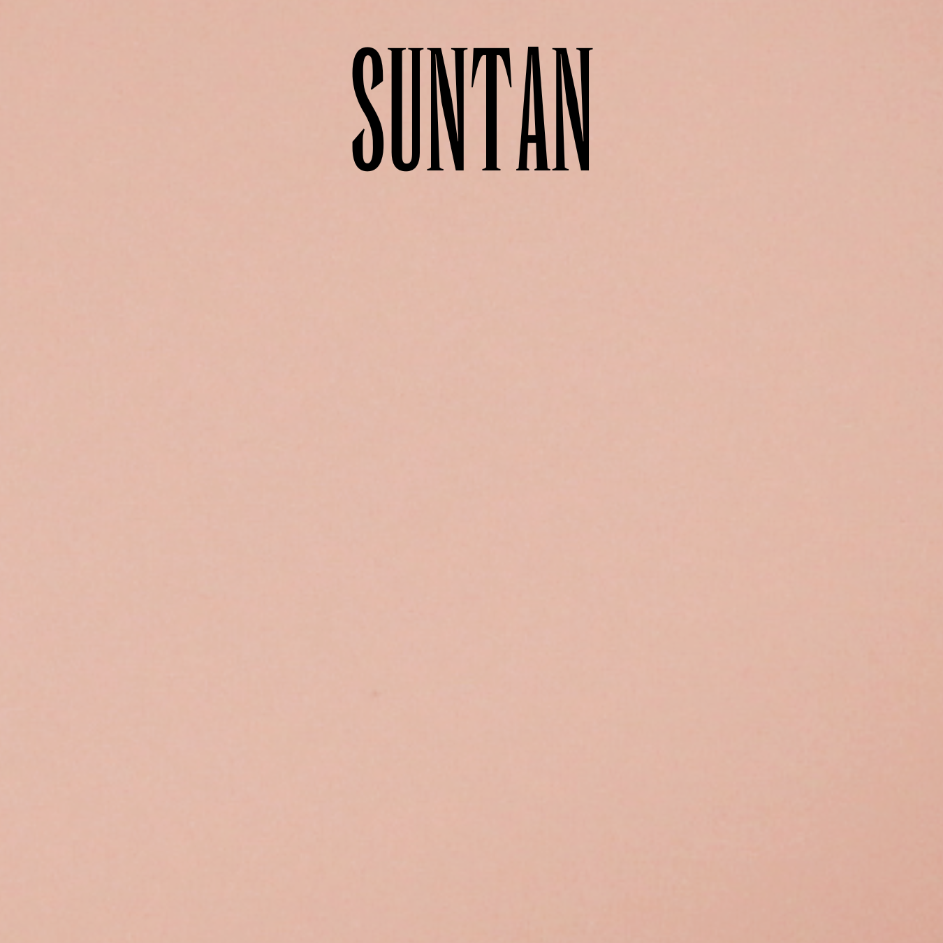 Waterproof Organic Camouflage Finish Foundation (Powder-Cream) with Elastin - Image 9