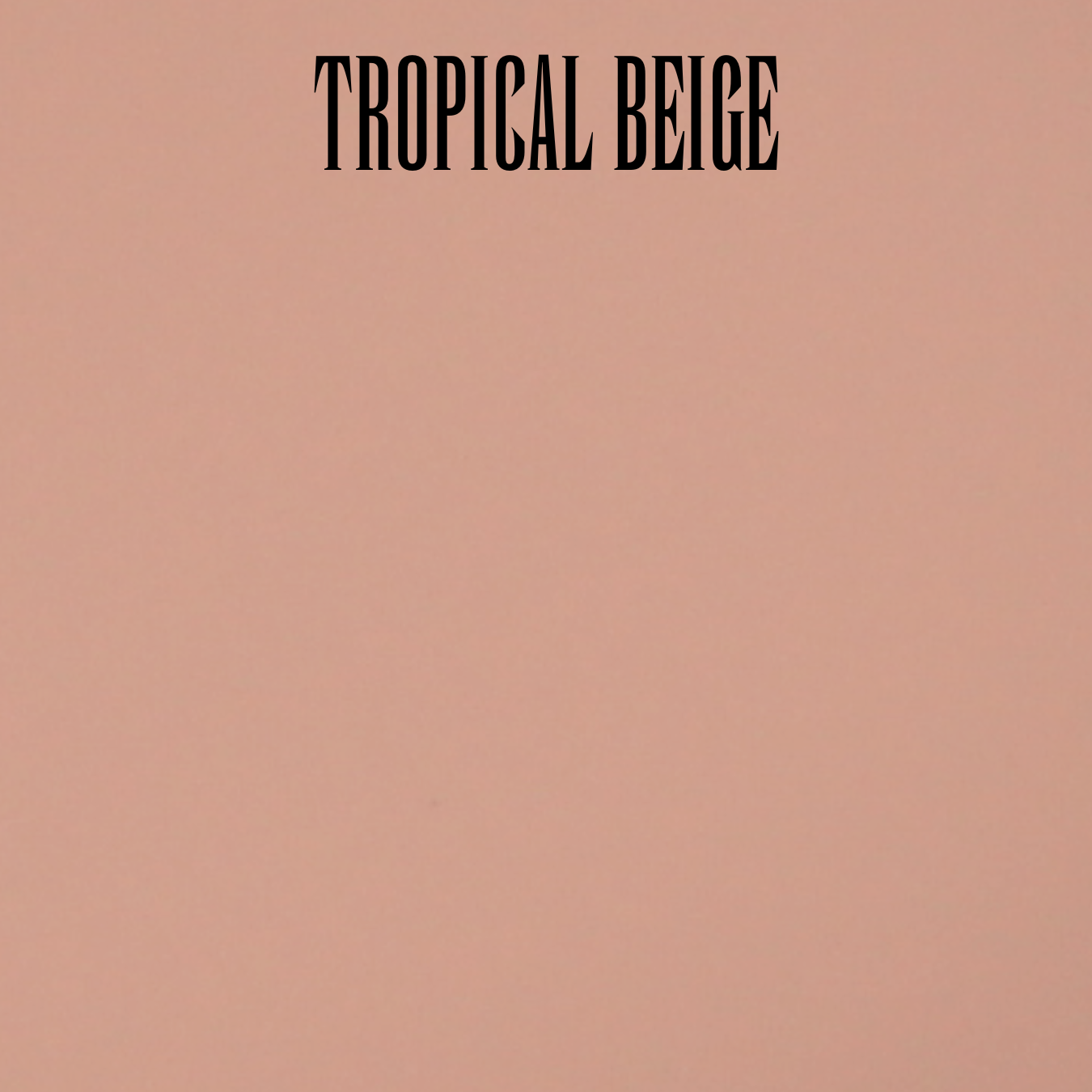 Waterproof Organic Camouflage Finish Foundation (Powder-Cream) with Elastin - Image 13