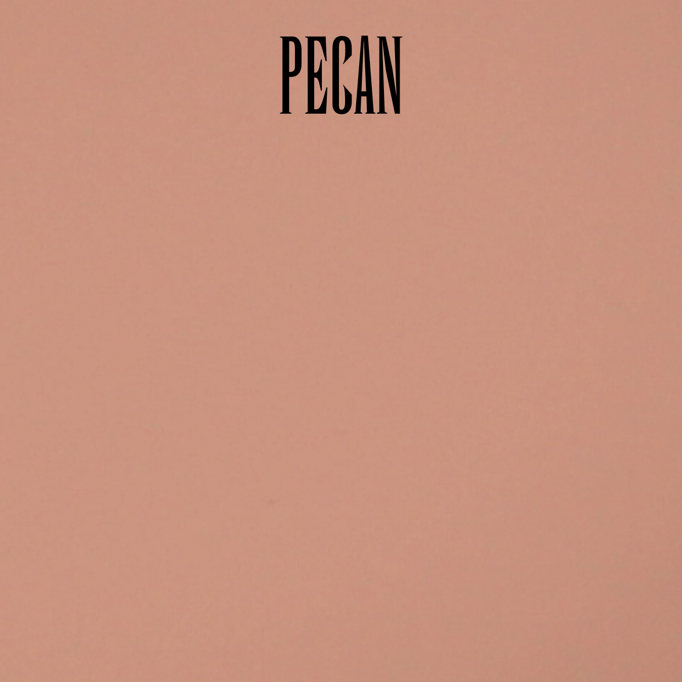 Waterproof Organic Camouflage Finish Foundation (Powder-Cream) with Elastin - Image 15