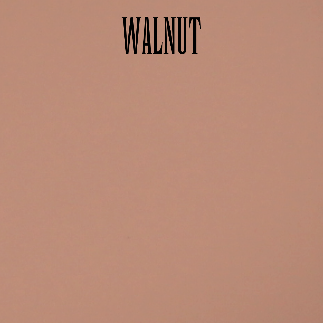 Waterproof Organic Camouflage Finish Foundation (Powder-Cream) with Elastin - Image 19