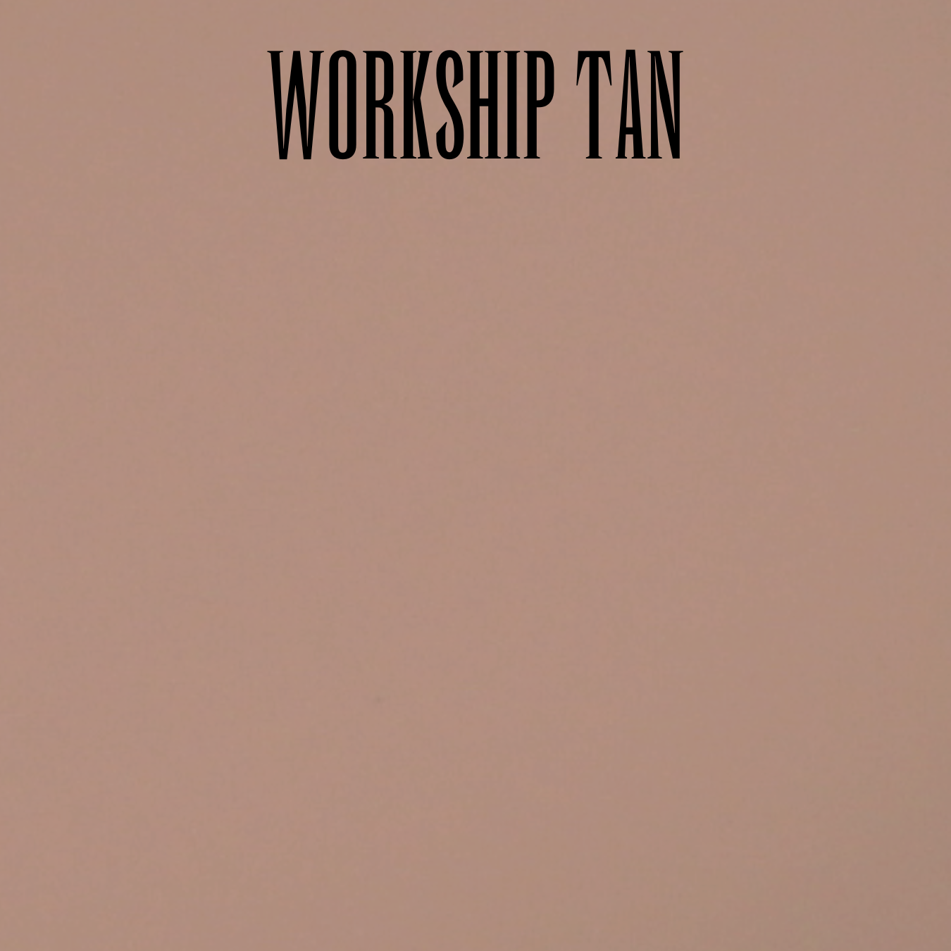 Waterproof Organic Camouflage Finish Foundation (Powder-Cream) with Elastin - Image 17